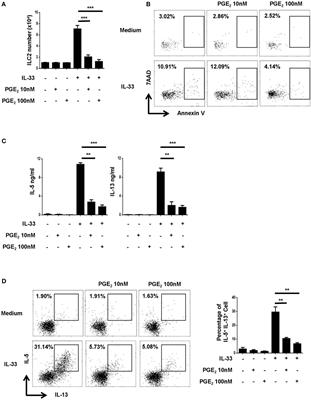 Prostaglandin E2 Inhibits Group 2 Innate Lymphoid Cell Activation and Allergic Airway Inflammation Through E-Prostanoid 4-Cyclic Adenosine Monophosphate Signaling